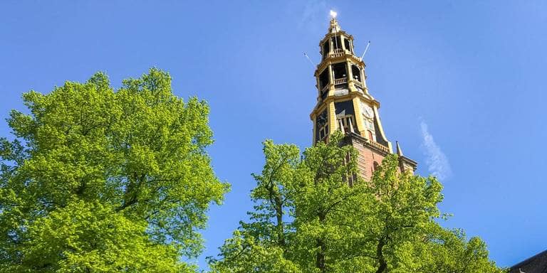Opinie: Maak van oude bomen monumenten